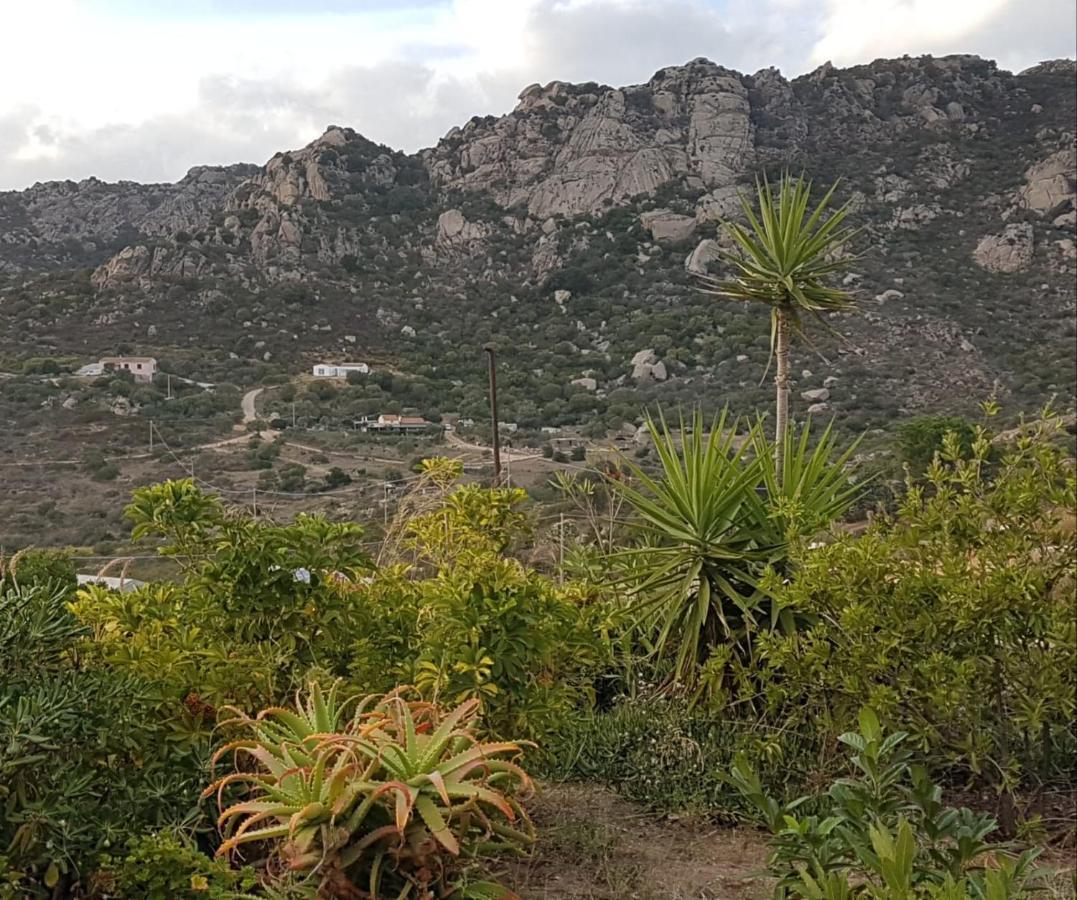 Villetta Osseddu Olbia Dış mekan fotoğraf