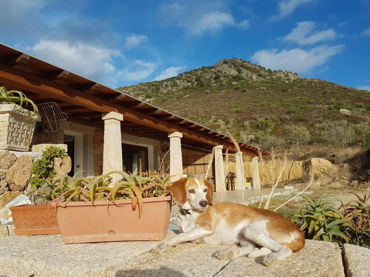 Villetta Osseddu Olbia Dış mekan fotoğraf
